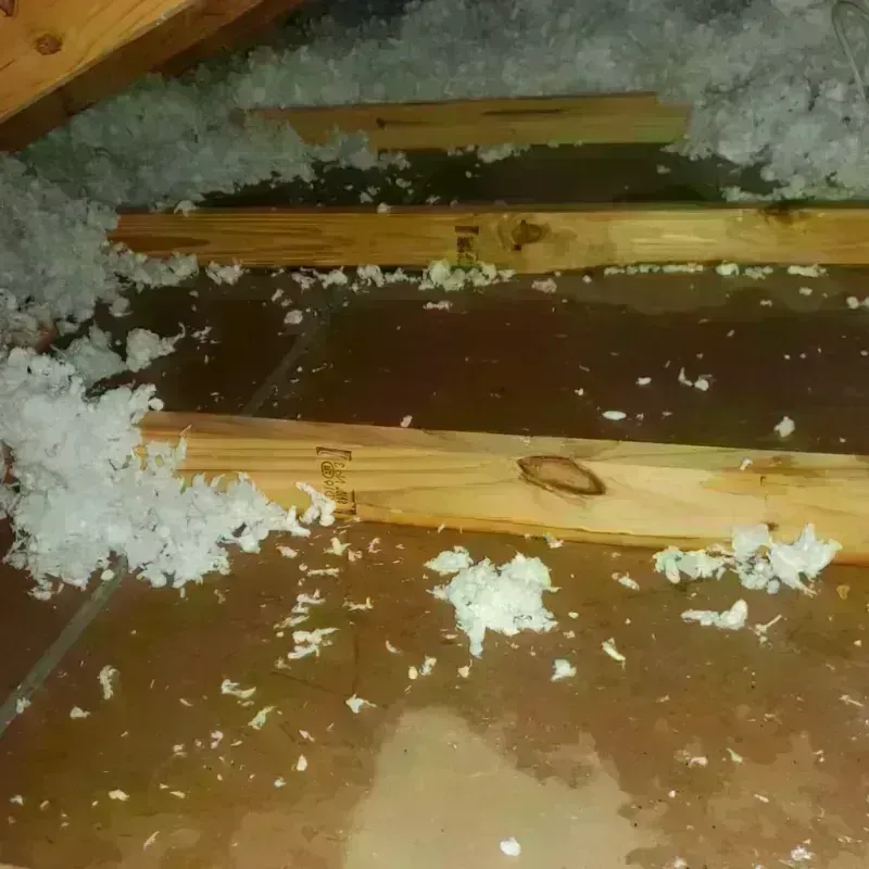 Attic Water Damage in Mount Morris, NY